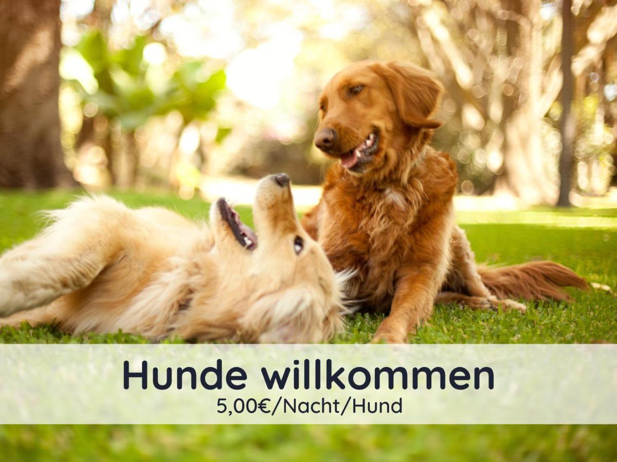 Der Fuchsbau - Fewo Lepetit - Im Sonnigen Harz - Hunde Willkommen - 100M Bis Zum Wald - Free Wlan Apartment Бад Захса Екстериор снимка