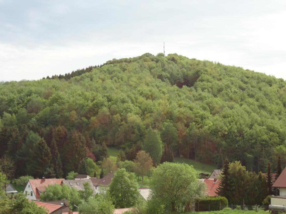 Der Fuchsbau - Fewo Lepetit - Im Sonnigen Harz - Hunde Willkommen - 100M Bis Zum Wald - Free Wlan Apartment Бад Захса Екстериор снимка