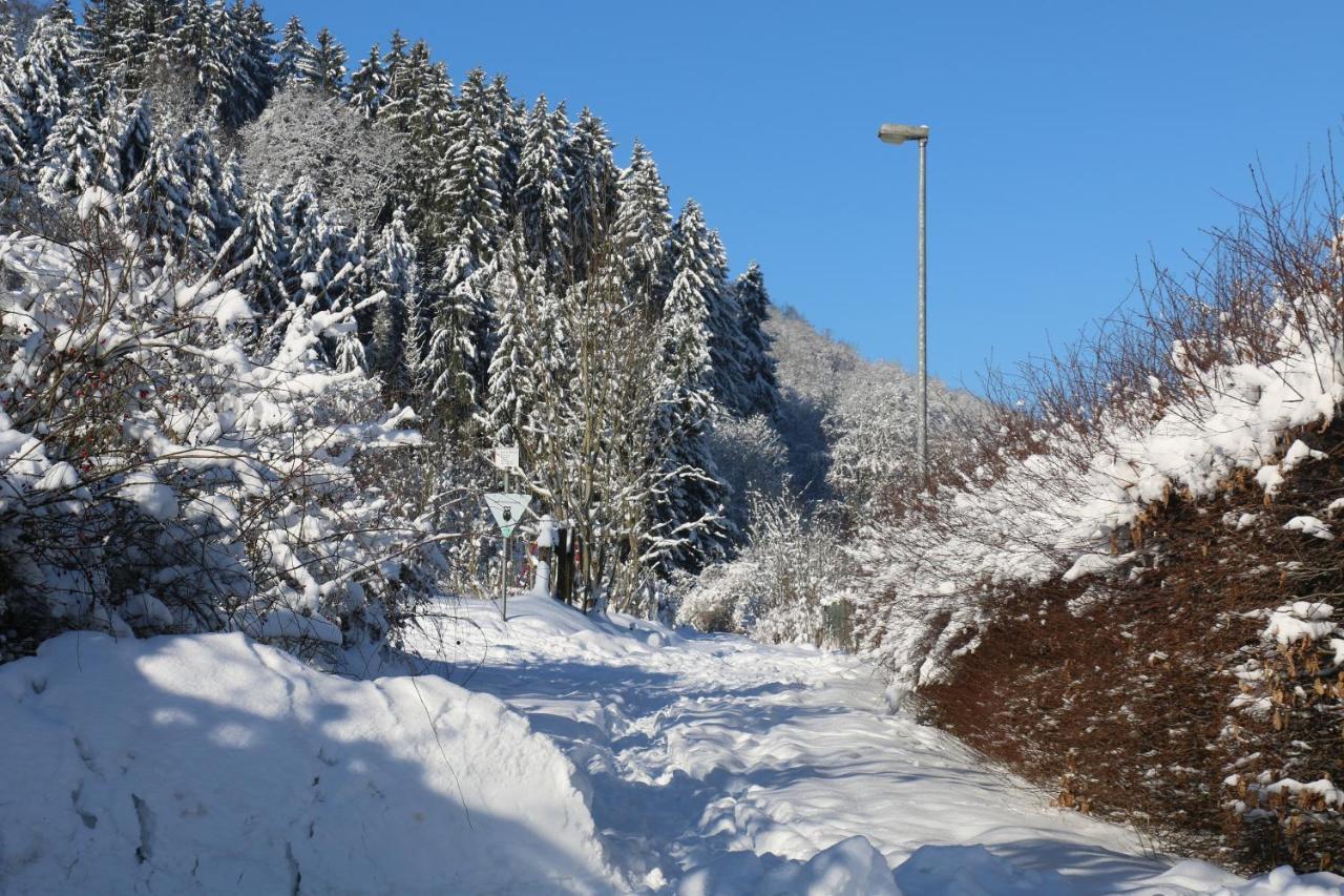 Der Fuchsbau - Fewo Lepetit - Im Sonnigen Harz - Hunde Willkommen - 100M Bis Zum Wald - Free Wlan Apartment Бад Захса Екстериор снимка